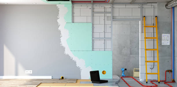 Best Water Damage & Mold Remediation  in Canutillo, TX