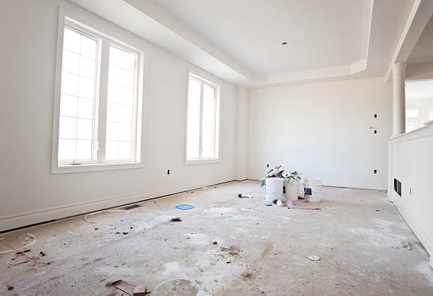 Trusted Canutillo, TX Mold Removal Experts